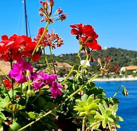 Bed & Breakfast Dionis Βις Εξωτερικό φωτογραφία