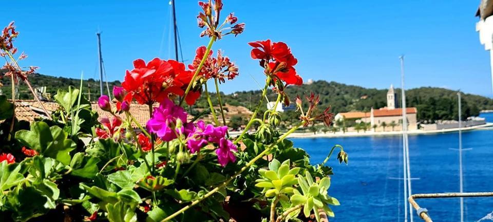 Bed & Breakfast Dionis Βις Εξωτερικό φωτογραφία