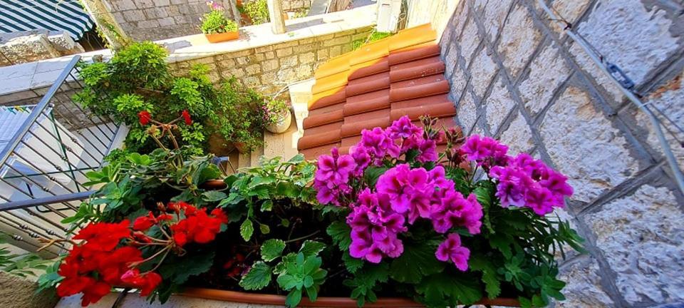 Bed & Breakfast Dionis Βις Εξωτερικό φωτογραφία