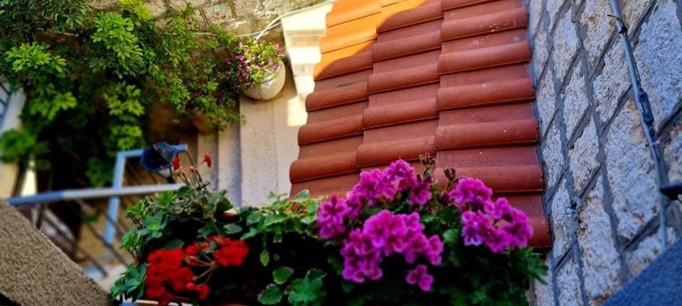 Bed & Breakfast Dionis Βις Εξωτερικό φωτογραφία