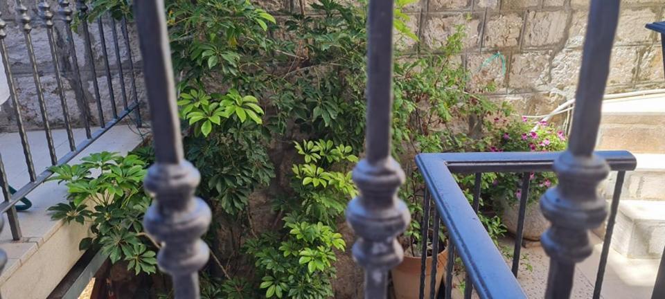 Bed & Breakfast Dionis Βις Εξωτερικό φωτογραφία