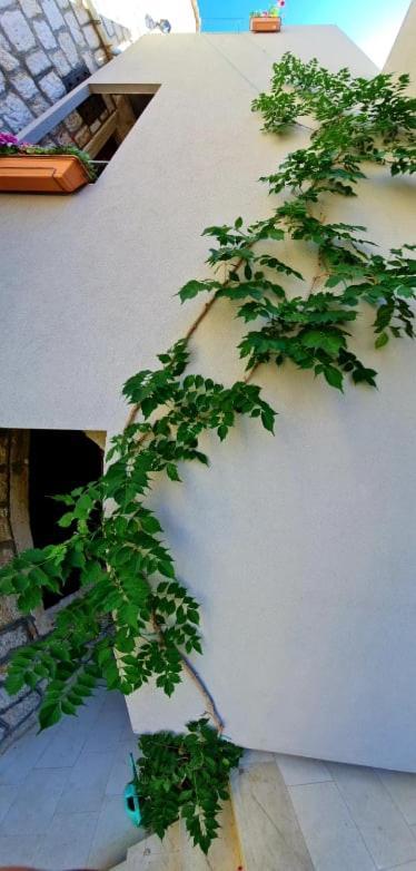 Bed & Breakfast Dionis Βις Εξωτερικό φωτογραφία